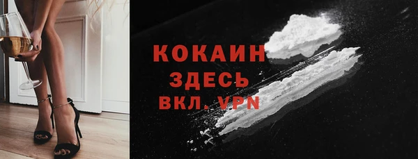 стаф Белокуриха