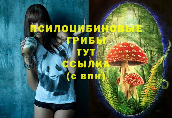 стаф Белокуриха